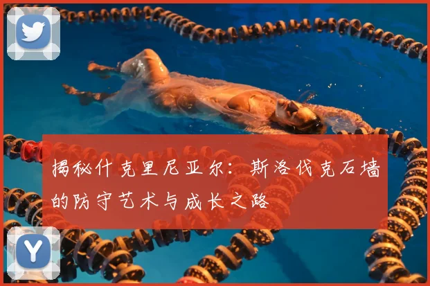 揭秘什克里尼亚尔：斯洛伐克石墙的防守艺术与成长之路
